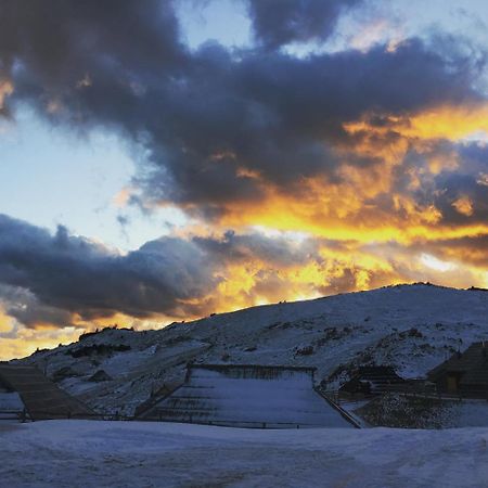 Chalet Gasparjeva Velika Planina Villa คัมนิค ภายนอก รูปภาพ